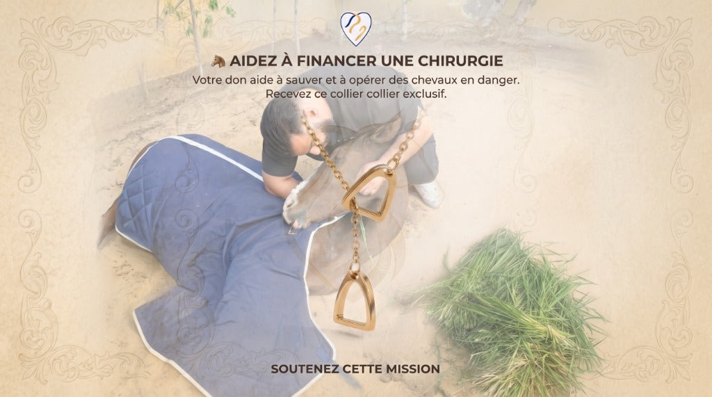 Aidez à financer une chirurgie